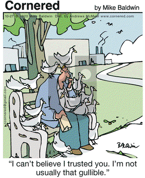 Cornered on Tuesday October 27, 2020 Comic Strip