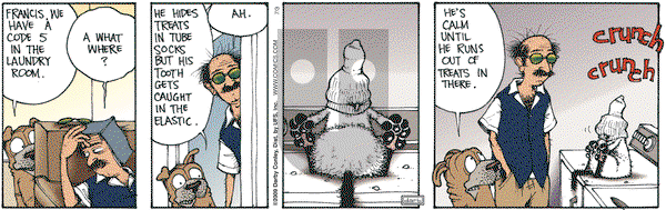 Get Fuzzy on Friday July 3, 2009 Comic Strip