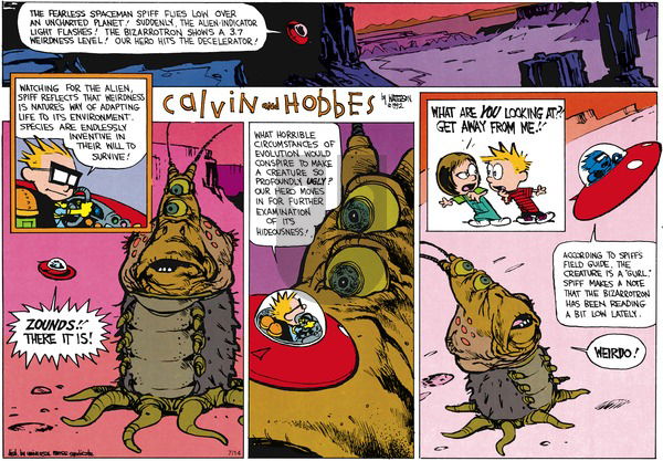 Calvin and Hobbes on Sunday August 30, 1992 Comic Strip