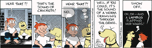 Red and Rover on Saturday June 29, 2019 Comic Strip
