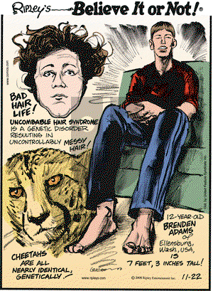 Ripley's Believe It or Not on Saturday November 22, 2008 Comic Strip