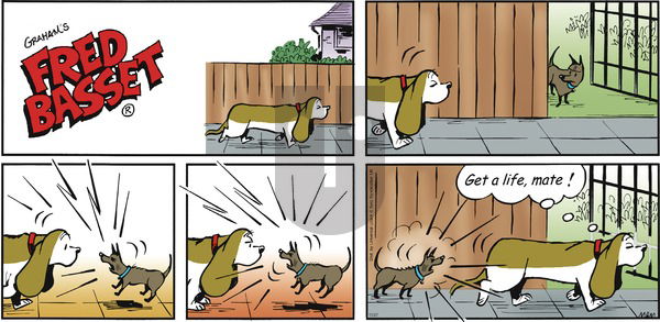 Fred Basset on Sunday November 27, 2016 Comic Strip