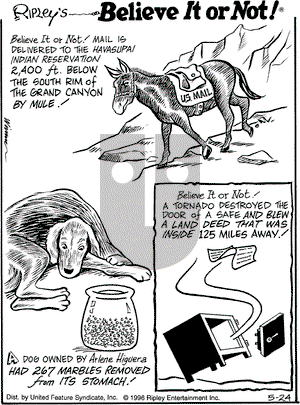 Ripley's Believe It or Not on Friday May 24, 1996 Comic Strip