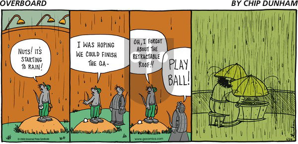 Overboard on Sunday June 29, 2008 Comic Strip
