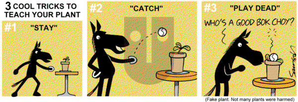 Dark Side of the Horse on Monday March 24, 2014 Comic Strip