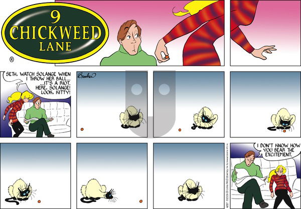 9 Chickweed Lane on Sunday April 27, 2014 Comic Strip