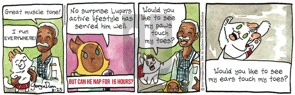 Breaking Cat News on Friday August 25, 2017 Comic Strip