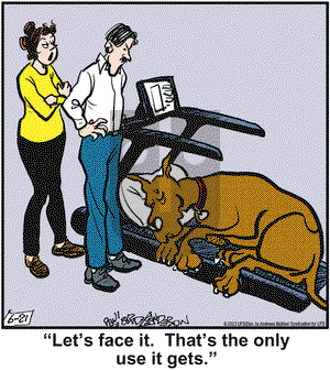 Marmaduke - Tuesday June 21, 2022 Comic Strip