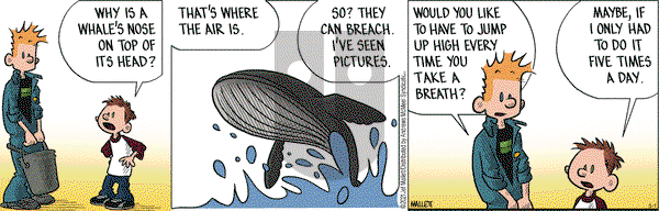 Frazz on Thursday May 1, 2025 Comic Strip