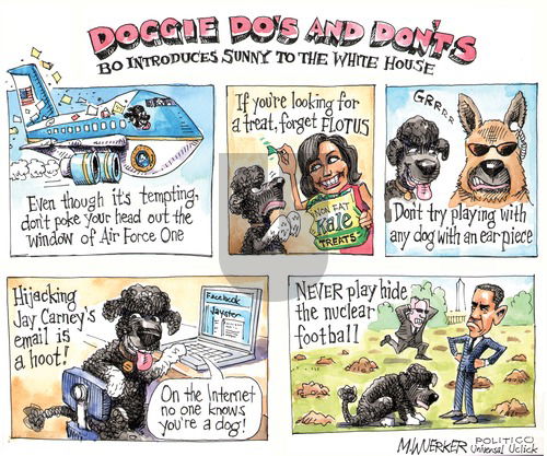 Matt Wuerker - Sunday August 25, 2013 Comic Strip