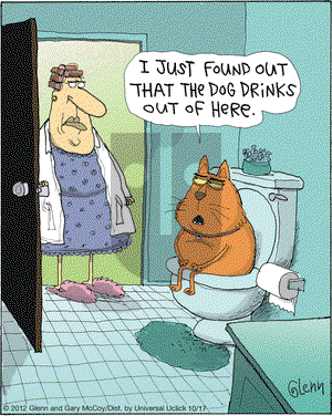 The Flying McCoys on Wednesday October 17, 2012 Comic Strip