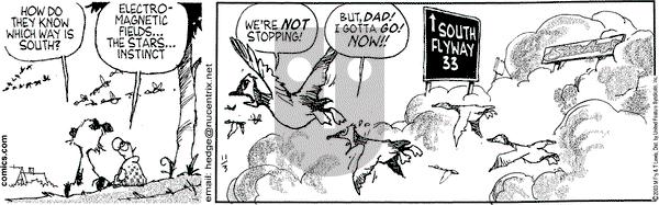 Over the Hedge on Monday November 3, 2003 Comic Strip