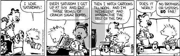 Calvin and Hobbes - Saturday June 7, 1986 Comic Strip