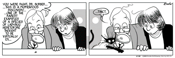 9 Chickweed Lane on Thursday October 28, 2004 Comic Strip