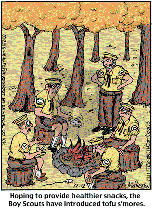 Close to Home - Saturday November 12, 2016 Comic Strip