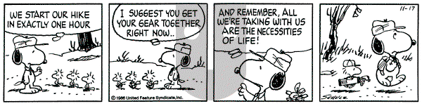 Peanuts on Monday November 17, 1986 Comic Strip