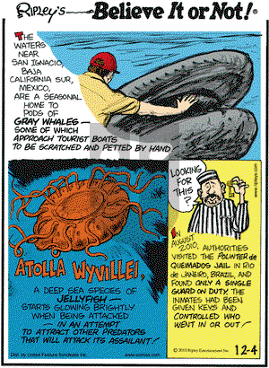 Ripley's Believe It or Not on Saturday December 4, 2010 Comic Strip