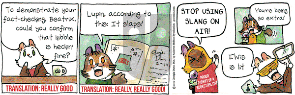 Breaking Cat News on Wednesday June 19, 2019 Comic Strip