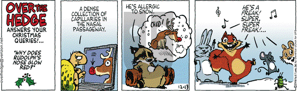 Over the Hedge on Saturday December 13, 2014 Comic Strip