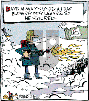 Reality Check on Wednesday December 30, 2015 Comic Strip