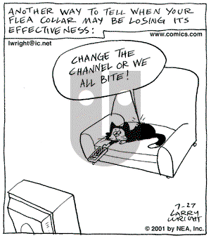 Kit 'N' Carlyle on Friday July 27, 2001 Comic Strip