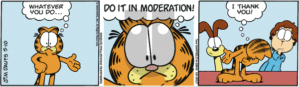 Garfield on Saturday May 10, 2008 Comic Strip