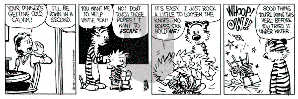 Calvin and Hobbes on Tuesday December 1, 1987 Comic Strip