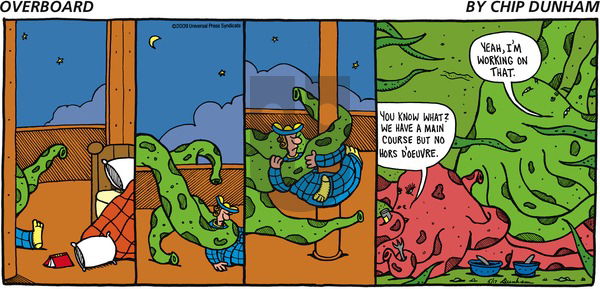 Overboard on Sunday May 17, 2009 Comic Strip