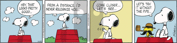 Peanuts - Wednesday November 22, 2023 Comic Strip