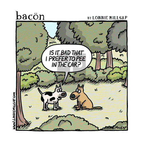 bacon - Wednesday February 24, 2021 Comic Strip