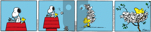 Peanuts on Saturday March 24, 2001 Comic Strip