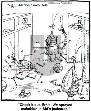 In the Bleachers on Monday February 23, 1998 Comic Strip