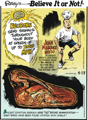 Ripley's Believe It or Not on Wednesday April 15, 2015 Comic Strip