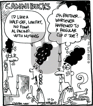Reality Check on Tuesday November 11, 2008 Comic Strip