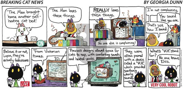 Breaking Cat News - Sunday July 25, 2021 Comic Strip