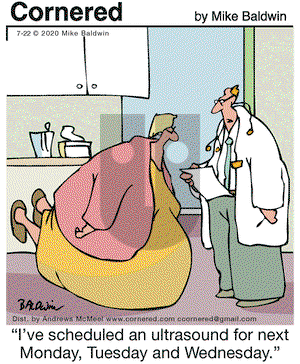 Cornered on Wednesday July 22, 2020 Comic Strip