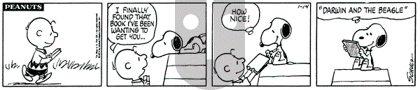 Peanuts on Monday January 14, 1974 Comic Strip