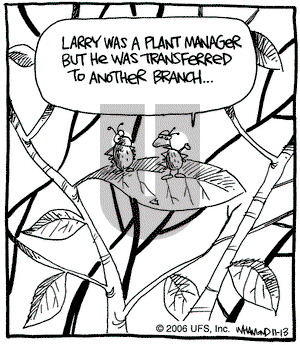 Reality Check on Monday November 13, 2006 Comic Strip