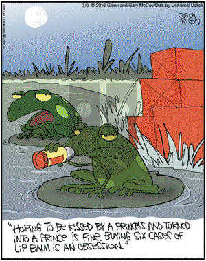 The Flying McCoys on Saturday July 9, 2016 Comic Strip