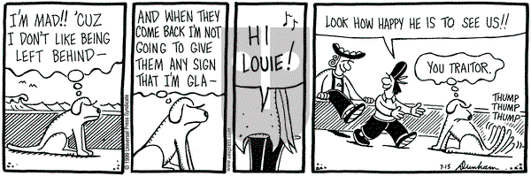Overboard on Thursday July 15, 1999 Comic Strip