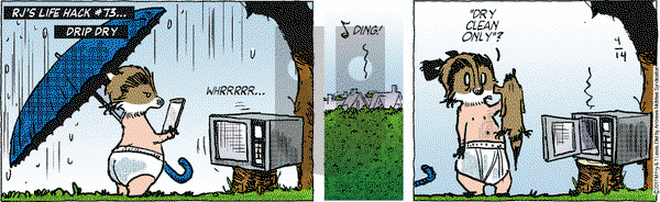 Over the Hedge on Friday April 14, 2017 Comic Strip