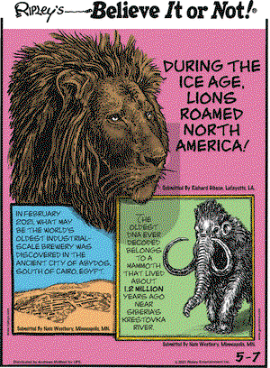 Ripley's Believe It or Not on Friday May 7, 2021 Comic Strip