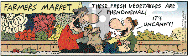 Frank and Ernest on Friday June 29, 2007 Comic Strip