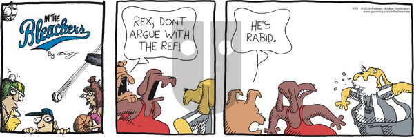 In the Bleachers on Sunday May 26, 2019 Comic Strip