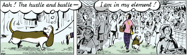 Fred Basset on Tuesday August 31, 2021 Comic Strip