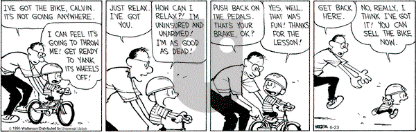 Calvin and Hobbes on Tuesday June 23, 2015 Comic Strip