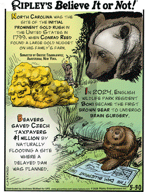 Ripley's Believe It or Not on Friday May 30, 2025 Comic Strip