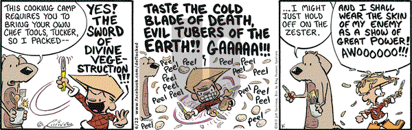 DeFlocked on Saturday June 22, 2013 Comic Strip