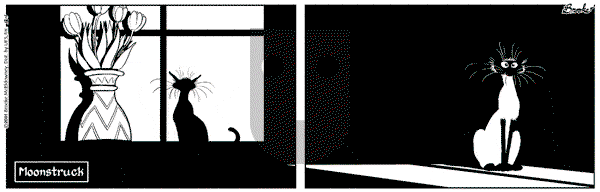 9 Chickweed Lane on Saturday December 1, 2001 Comic Strip