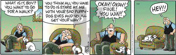 Pickles - Friday January 31, 2025 Comic Strip